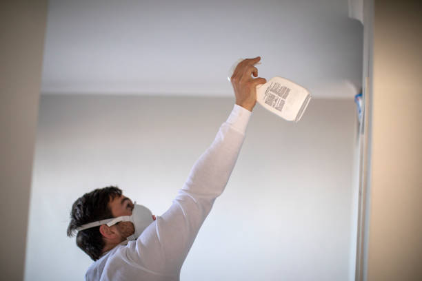 Best Industrial Mold Remediation in Elkins, WV