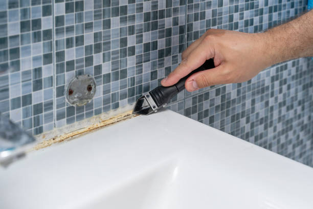 Best Mold Testing and Inspection Services in Elkins, WV